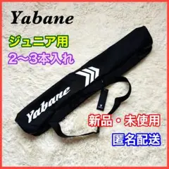 Item thumbnail for item 0ce04284-f11d-484d-8494-514a1b316c93