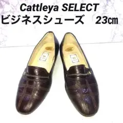 Cattleya SELECT ビジネスシューズ　23.0㎝　ブラウン　レザー