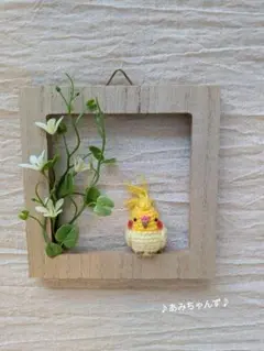 TK様 リクエスト 2点 まとめ商品