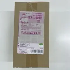ポケモンセンター ヒロシマ スペシャルBOX 配送用段ボール 未開封