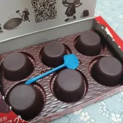 食品サンプル　チョコレートアイス