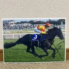 ジャスティンパレス　2025天皇賞秋G I B5写真