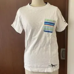 Labrador Retriever 半袖Tシャツ ポケット付きのサムネイル