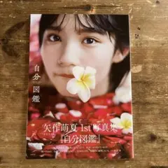 2026年最新】矢作萌夏 写真集の人気アイテム - メルカリ