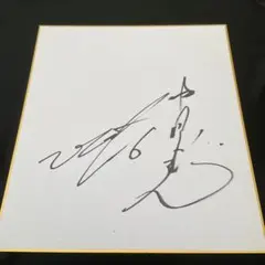 中日ドラゴンズ 立浪和義 直筆サイン 色紙 名球会 - メルカリ