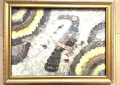 2025年最新】蝶 額 ブラジルの人気アイテム - メルカリ