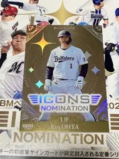 Item thumbnail for item 2688b0ff-b320-45dd-9abe-03390b0e44b7