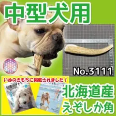 中型犬用 エゾ鹿の角 1本 北海道産 蝦夷鹿 犬のおもちゃ 31119のサムネイル