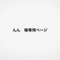 んん　様専用ページ