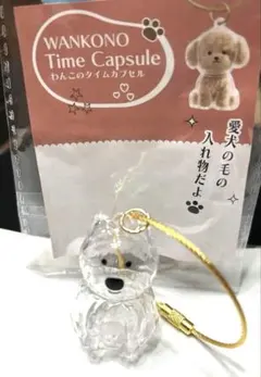 Item thumbnail for item 63884239-11a3-4385-8deb-e79b8a0a66aa