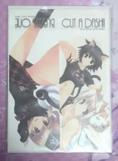 Item thumbnail for item 8dd9a722-f117-4649-a535-f7a27c0aee7e