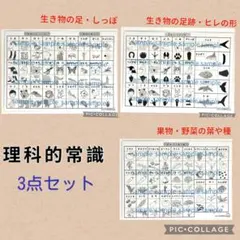 よしの様 リクエスト 2点 まとめ商品