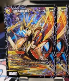 ペンギン侍様 リクエスト 2点 まとめ商品