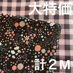 大特価❤️生地いろいろ　計２M