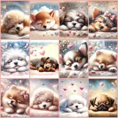 メルみーちゃん様 リクエスト 2点 まとめ商品