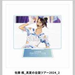 Item thumbnail for item a05f045a-7429-44cf-8d54-d0ed3ea3ebb6