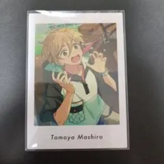 あんスタ　ぱしゃっつ　真白友也