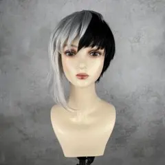 【No.172】サンプル品　ウィッグオーダー受付中