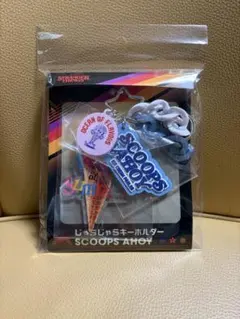22製 絶版 ストレンジャーシングス(クリアキーチェーン) ストラップ 