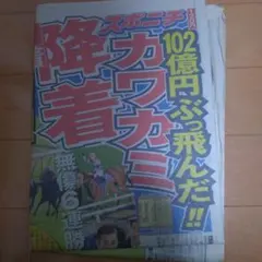 スポニチ2006年エリザベス女王杯