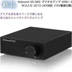 竹オデオ様専用 RSDA202 Digital ステレオアンプ体とACアダプター