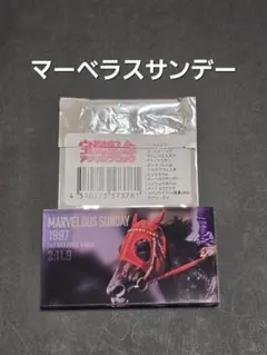 宝塚記念 アクリルブロック netkeiba　マーベラスサンデー