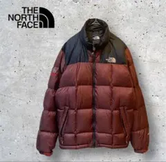 THE NORTH FACE ダウンジャケット ブラウン　サミット　800フィル