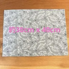 ランチョンマット　給食マット　ランチマット　デニム　恐竜柄　薄ブルー　小サイズ②