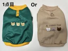 Item thumbnail for item 5a298088-da67-4129-9b30-4333bd9ccfa5