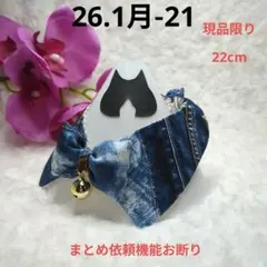 Item thumbnail for item 730ede72-39f7-4e77-b18b-0b09f6d3a8b3