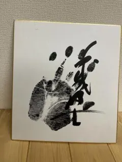 2026年最新】横綱 手形色紙の人気アイテム - メルカリ