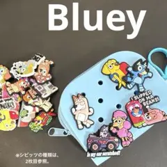 【Bluey】1点もの！ブルーイシリコンポーチ(シビッツ１２個)