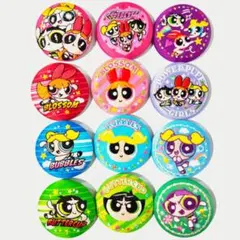 【未使用】 パワーパフ ガールズ 刺繍缶バッジ 12種 セミコンプリートセット