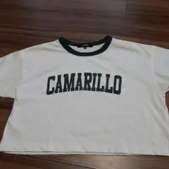 Camarillo クロップドTシャツ ホワイト/グリーン
