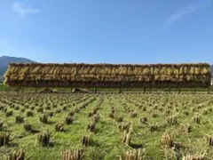 こだわりのお米 玄米20kg [天日干し・無農薬・有機肥料・籾保存]_2のサムネイル