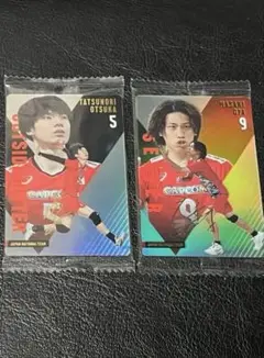 バレーボール日本代表ツインウエハースカード