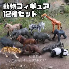 人気セット 動物フィギュア 12種類 アニア アニマル ミニ 野生動物