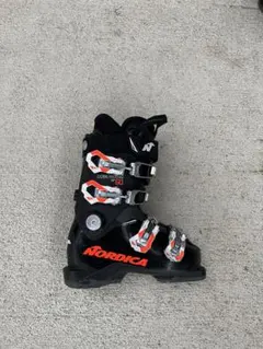 Item thumbnail for item 1a09d968-c6e0-47d6-b12a-4d029d6022dd