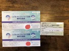 たんばらスキー場キッズ無料リフト1日券2枚　大人2名用割引き券セット。のサムネイル