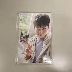 ENHYPEN ソヌ アンケートトレカ 2025