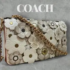 2025年最新】coach ティーローズの人気アイテム - メルカリ