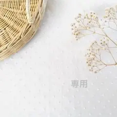 【専用】ゆうこりん様