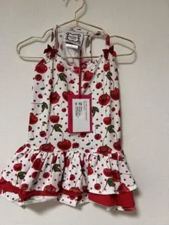 Item thumbnail for item e6f383c8-3ec1-488a-98d2-bc403dc8cae4