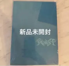 新品未開封　ALD1 少年BEAST Cementic Nest Ver