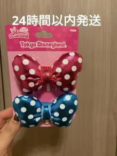 パルパルーザ　ミニー@ファンダーランド　2026 パッチン