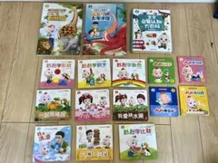 ソヘラ様専用　中国語絵本　幼児向け　宝贝赳赳认知绘本 幼儿启蒙书 16本