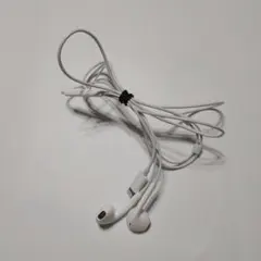 【純正】Apple EarPods with Lightning Connect