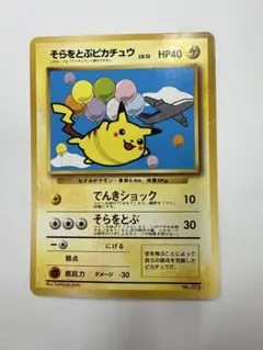 そらをとぶピカチュウ_ANA 「みんなにうれしいキャンペーン