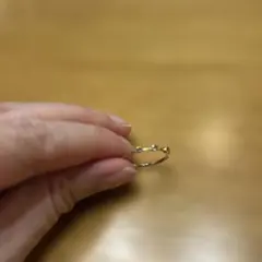 Noguchiリンクのサムネイル