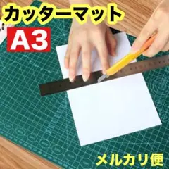 Item thumbnail for item 78db0b49-79d6-4531-b760-0416f1553f36